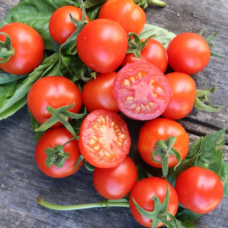 Cà chua chứa một lượng lớn lycopene, chất chống oxy hóa và vitamin C.